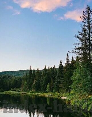 糖心vlog小桃在线观看-糖心Vlog,一个连接心灵的小桃秀场旅程